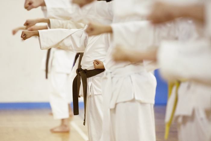 <center>Specialty Karate Classes for Our Most Dedicated Students<center>